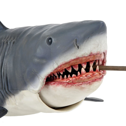 Jaws 50th Anniversary - Head to Tail Game